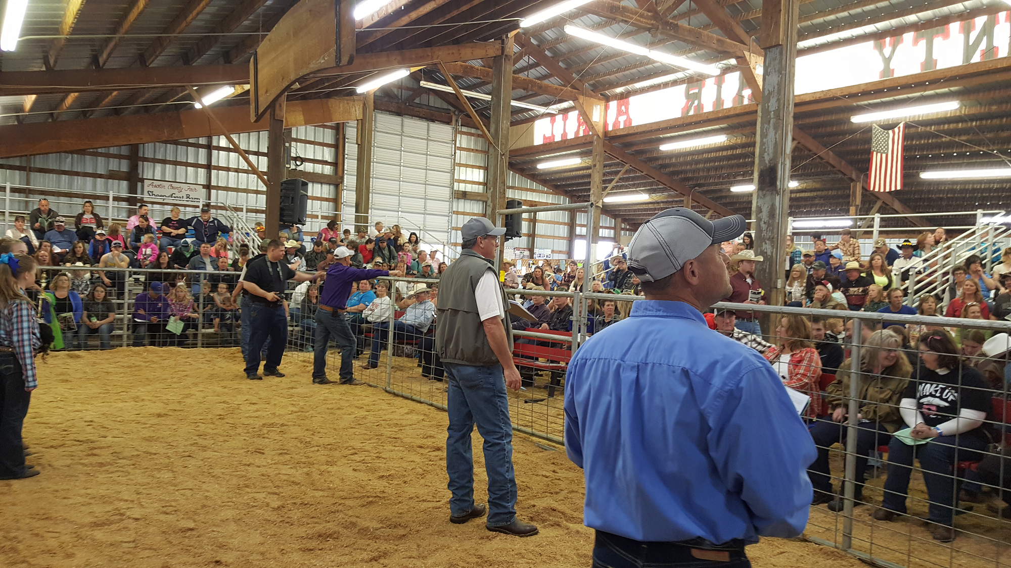 Livestock Auction